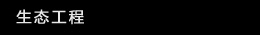 ��̬����